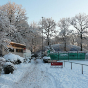 Viel Schnee am 22. Dezember 2010